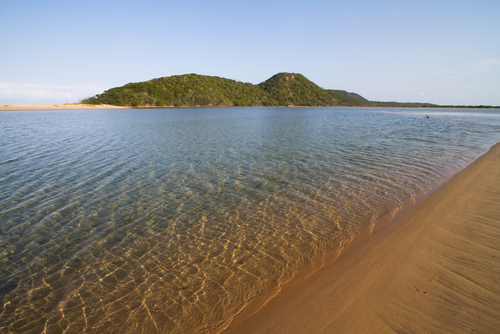 7 playas del mundo donde encontrarás tiburones