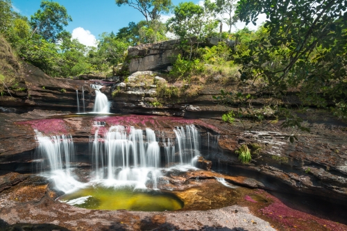 Caño Cristales, el río colombiano de los 5 colores
