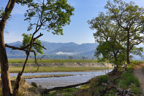 El Parque Nacional Corbett y su rica fauna
