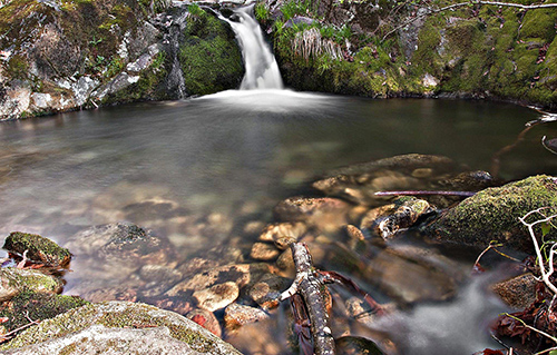 El idílico sendero del río Té, en A Coruña