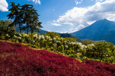 Guatemala y su mundo colorido
