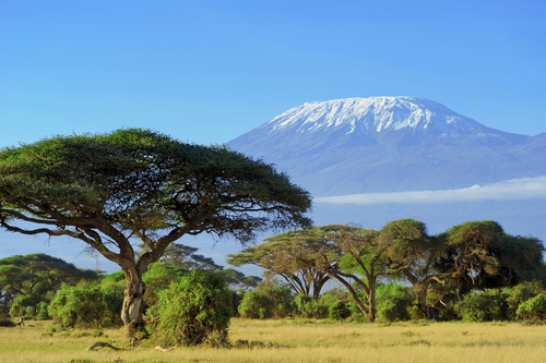 África es mucho más interesante de lo que pensábamos