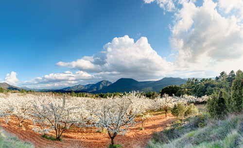 El Valle del Jerte en Extremadura, un pequeño paraíso