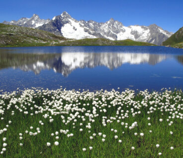 Los lagos más bonitos de Suiza