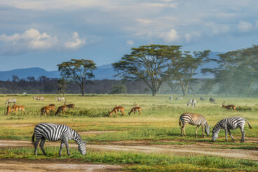 Masai Mara, el alma de África