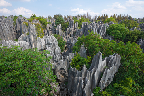Un paseo por el Bosque de Piedra en China