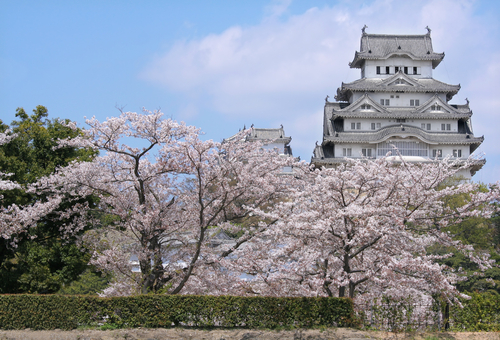 9 curiosidades de Japón que te van a encantar