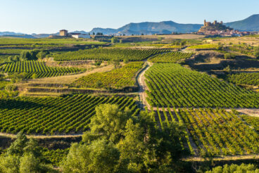 Una escapada perfecta por tierras de La Rioja