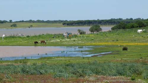 La Reserva Natural Dehesa de Abajo, un paraíso en Andalucía