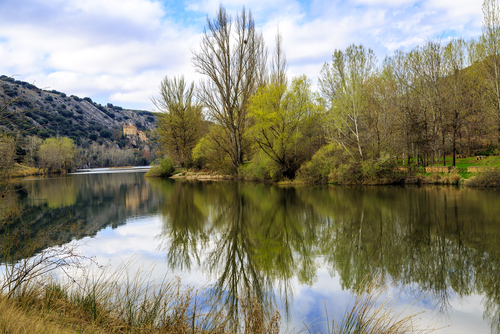 Conoce el tren “Campos de Castilla”