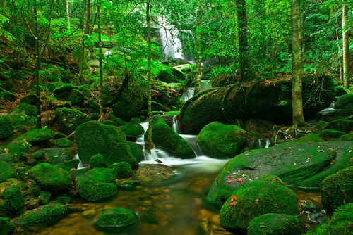 6 lugares para olvidarse de todo