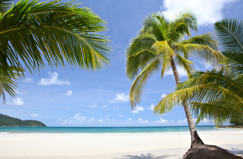 Descubrimos las islas Salomón