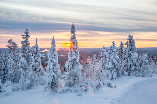 Descubrimos los secretos de Laponia