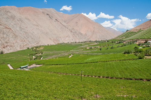 El fantástico valle del Elqui en Chile