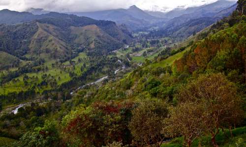Valle de Cocora, Colombia, naturaleza en estado puro
