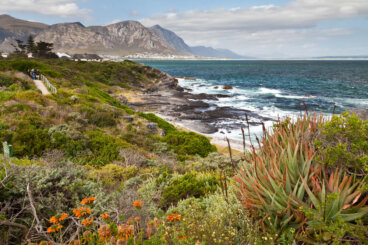 Wild Coast, recorremos la Sudáfrica más salvaje
