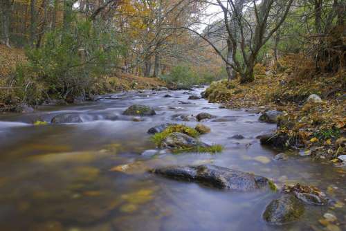 Bosques españoles en los que puedes practicar Shinrin-Yoku