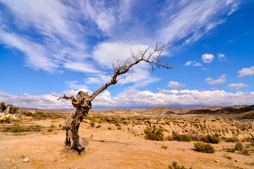 Hacemos una ruta por los desiertos de España