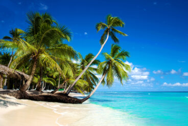 8 playas caribeñas que te enamorarán