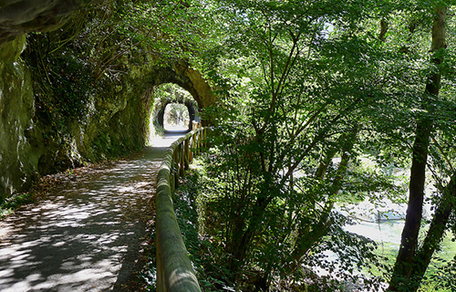 Recorremos la Senda del Oso en Teverga