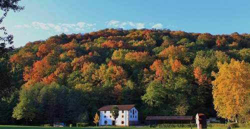 El hermoso Parque Natural del Señorío de Bértiz en Navarra