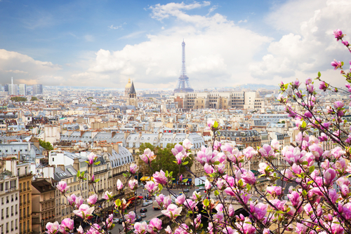 Con estas 6 visitas podrás conocer la esencia de París