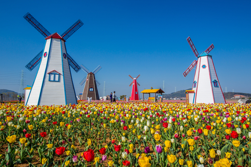 Holanda: descubrimos sus mitos y verdades