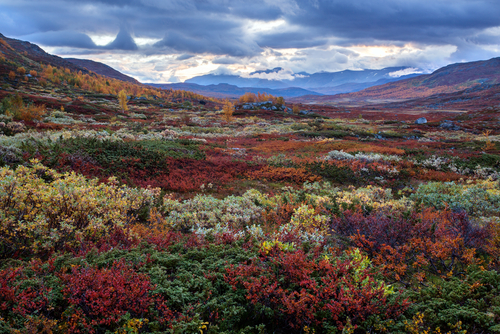 10 lugares que te enamorarán de Suecia