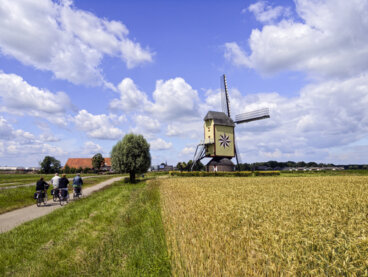 6 rutas para recorrer Holanda en bicicleta