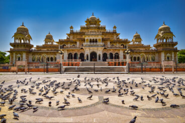 Jaipur, la hermosa ciudad rosa de la India