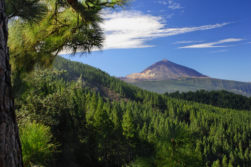 El norte de Tenerife, descubre qué ver y hacer en él