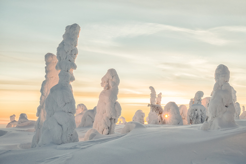 ¿Has oído hablar de los centinelas de Finlandia?