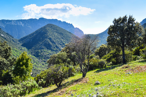 Sierra de Grazalema, el gran muro de Andalucía