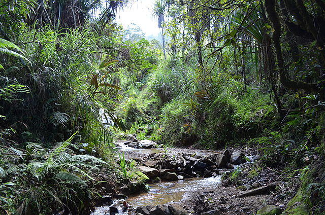 Descubre Papúa Nueva Guinea, un país fascinante