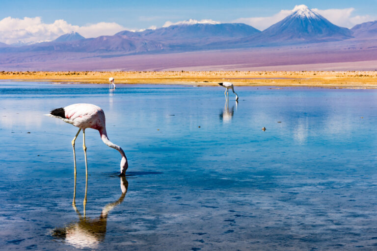Paradas imprescindibles en un viaje a Chile y la Isla de Pascua