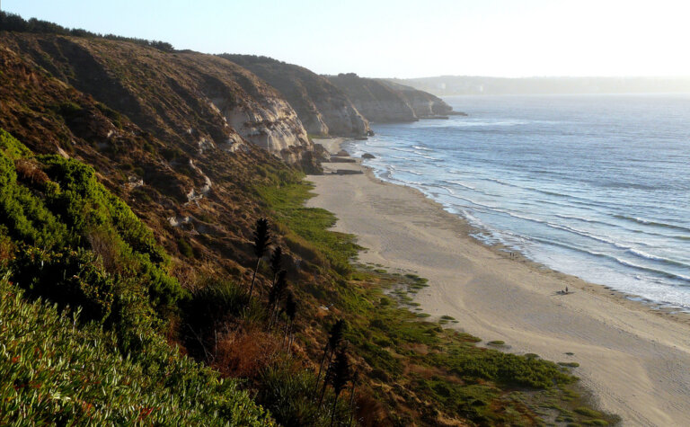 Nos bañamos en las mejores playas de Chile