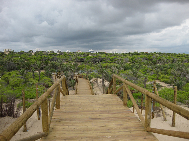 Qué ver y qué hacer en Guardamar del Segura