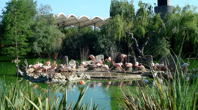 Un día en Faunia, el parque temático de la naturaleza