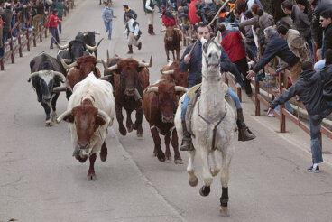 Conoce el Carnaval de Ciudad Rodrigo, una celebración singular