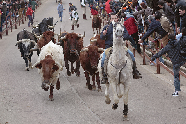 Conoce el Carnaval de Ciudad Rodrigo, una celebración singular