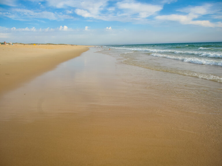 Comporta en Portugal, refugio de la "jet set" internacional