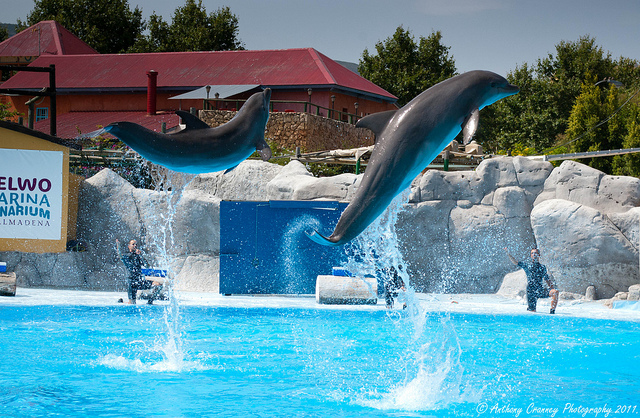 Selwo Marina, un lugar ideal para familias con hijos