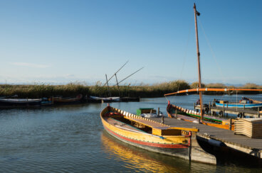 Un paseo por el Parque Natural de la Albufera de Valencia