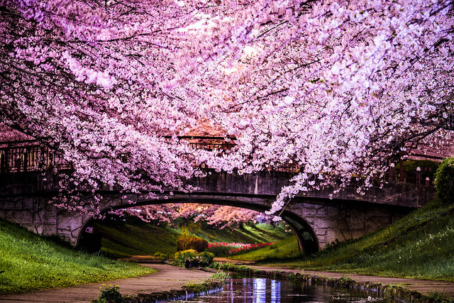 Lugares maravillosos para disfrutar en primavera