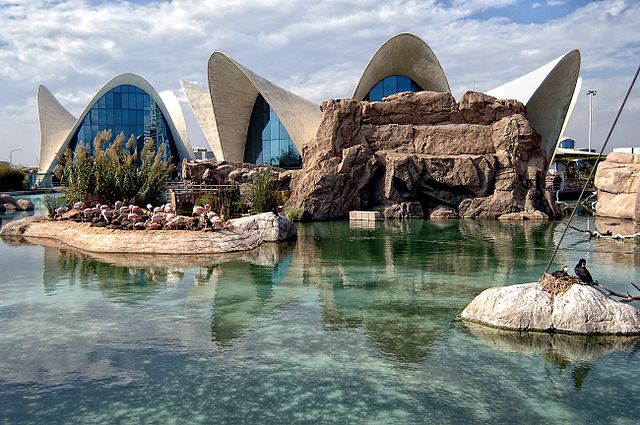 El Oceanogràfic de Valencia, un lugar para niños