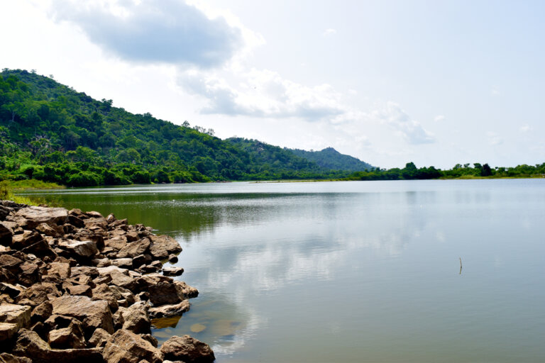 Vamos a disfrutar de un recorrido natural por Nigeria