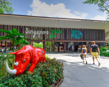 El zoo de Singapur, uno de los mejores de Asia
