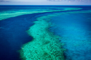 Visita la Gran Barrera de Coral en Australia