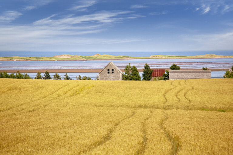 Cenar langosta en la Isla del Príncipe Eduardo en Canadá