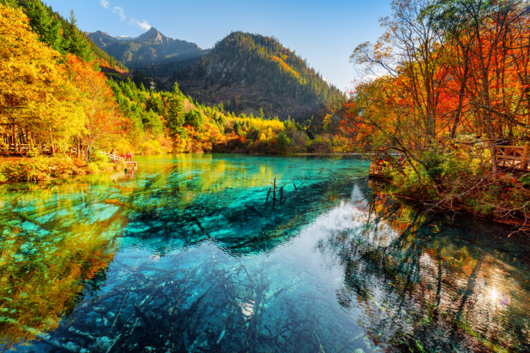 El lago de las Cinco Flores, un tesoro de la naturaleza en China